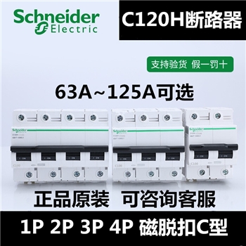 大电流断路器C120H系列1P2P3P4P磁脱扣C型63A~125A空气开关